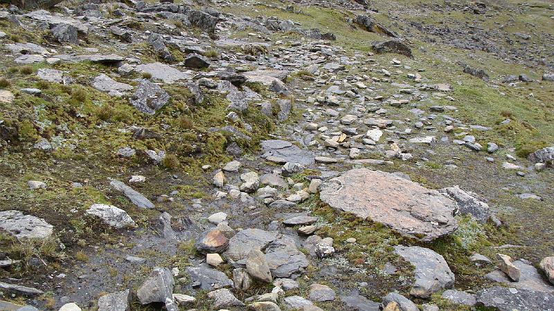 Illampu Trek Steves (16).JPG